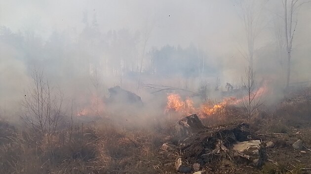 V pátek dopoledne zasahují hasiči u požáru lesa v lokalitě Hutě, místní části obce Cejle na Jihlavsku, požár zasáhl asi hektarovou plochu. (11. dubna 2025)