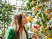 Ve čtvrtek začíná jarní Flora Olomouc. Ve čtvrtek začíná jarní Flora Olomouc.