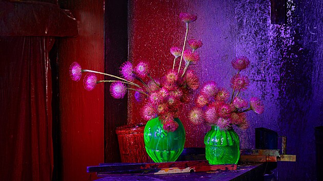 Centrální expozice jarní Flory Olomouc představí jedinečné květinové exponáty.