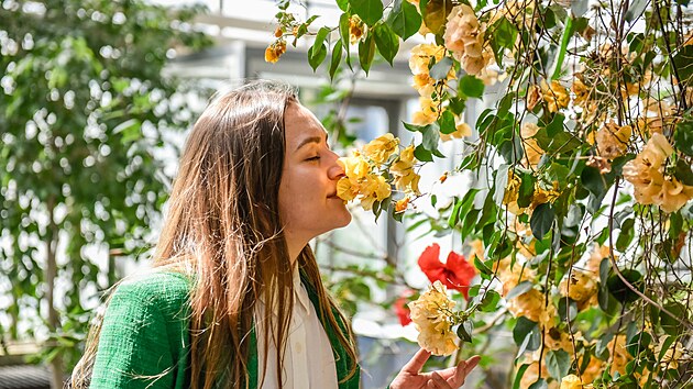 Ve čtvrtek začíná jarní Flora Olomouc.