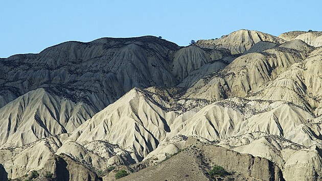 Z filmu Lapilli, který se bude promítat na festivalu Academia Film Olomouc.