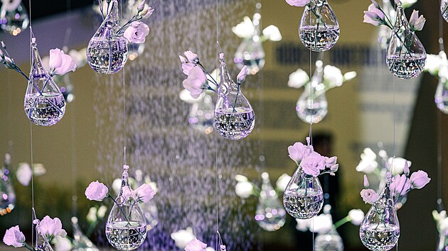 Na olomouckém výstavišti začal ve čtvrtek 24. dubna 2025 už 67. ročník jarní květinové výstavy Flora. V hlavním pavilonu A čeká návštěvníky expozice Paralelní květy, za kterou stojí světově uznávaný florista Robert Bartolen spolu s dvanácti českými skláři.