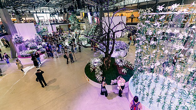 Na olomouckém výstavišti začal ve čtvrtek 24. dubna 2025 už 67. ročník jarní květinové výstavy Flora. V hlavním pavilonu A čeká návštěvníky expozice Paralelní květy, za kterou stojí světově uznávaný florista Robert Bartolen spolu s dvanácti českými skláři.