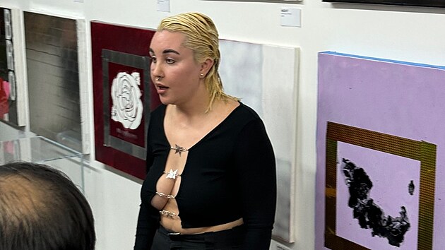 Amanda Bynesová v Los Angeles (21. prosince 2024) Amanda Bynesová v Los Angeles (21. prosince 2024)