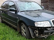 Při pokusu o záchranu dívky chlapci rozbili čelní sklo auta. Při pokusu o záchranu dívky chlapci rozbili čelní sklo auta.
