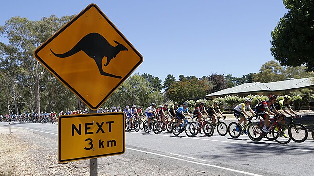 Momentka z Tour Down Under Momentka z Tour Down Under