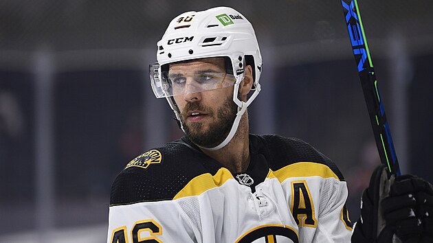 David Krejčí se vrátil do Bostonu po roční odmlce. David Krejčí se vrátil do Bostonu po roční odmlce.