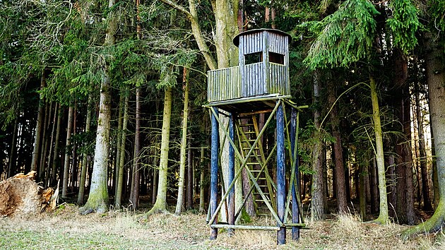 Do radějovské obory miliardáře Leoše Novotného staršího se běžný smrtelník dostane, ale příliš daleko jej nepustí.