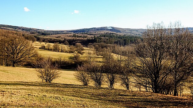 Do radějovské obory miliardáře Leoše Novotného staršího se běžný smrtelník dostane, ale příliš daleko jej nepustí.