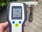 Mezi čtyřmi a šesti promile alkoholu leží podle odborníků jeho smrtelná dávka v... Mezi čtyřmi a šesti promile alkoholu leží podle odborníků jeho smrtelná dávka v...