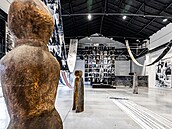 Čtyřmi výstavami zahájilo trutnovské Centrum současného umění EPO1 letošní... Čtyřmi výstavami zahájilo trutnovské Centrum současného umění EPO1 letošní...