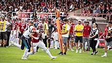 Lions v ELF smolně prohráli s Panthers. Nyní je čeká poslední tým ligy Lions v ELF smolně prohráli s Panthers. Nyní je čeká poslední tým ligy