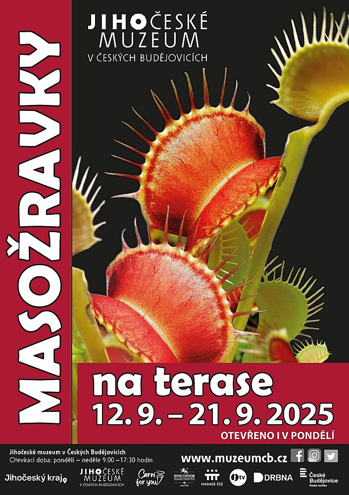 Prodejní výstava masožravek se vrací na terasu Jihočeského muzea