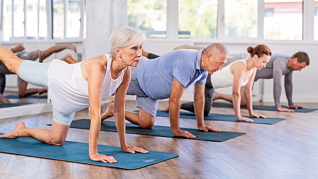 Dnešní senioři jsou obecně vzato úplně jiní, než tomu bývalo dříve. Nejde jen o to, že se dožívají vyššího věku, ale jsou mnohem aktivnější – cestují, sportují, vzdělávají se na univerzitách třetího věku…