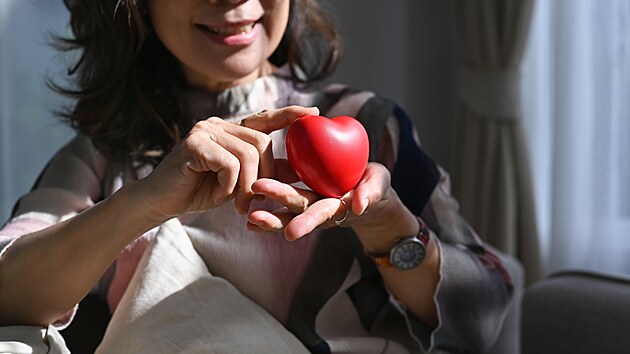 ilustrační snímek