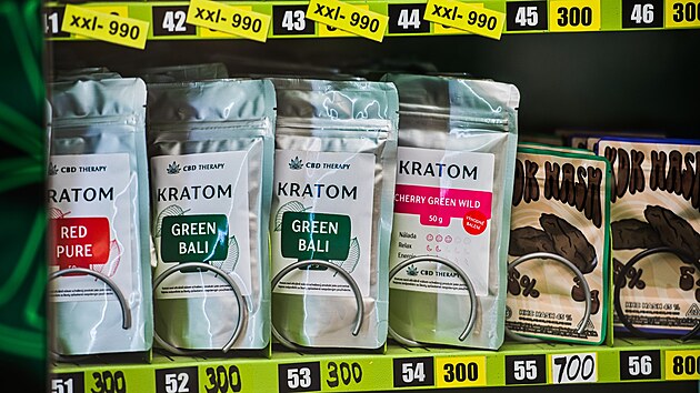 Neurologové Městské nemocnice Ostrava varují, že užívání kratomu může zvyšovat riziko epileptických záchvatů. (18. září 2025)