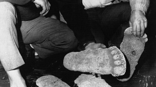 Robert „Bob“ Gimlin (vlevo) a Roger Patterson porovnávají odlitky stop údajného Bigfoota.
