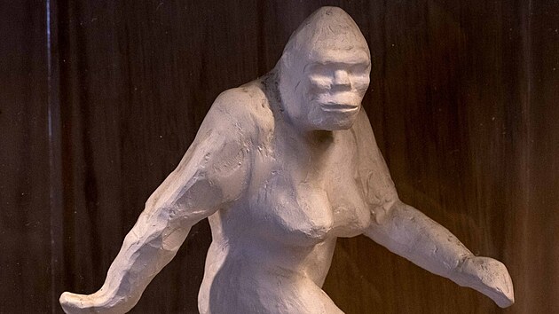Muzeum North American Bigfoot Center v Oregonu vystavuje sochu bájného Bigfoota v podobě, v jaké ho na film zachytil Robert Gimlin a Roger Patterson v severní Kalifornii v roce 1967.