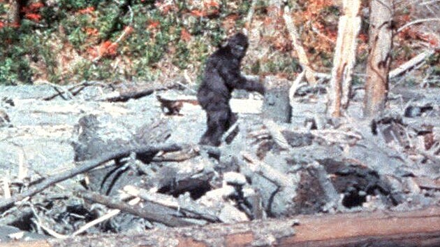 Roger Petterson a Bob Gimlin zachytili 20. října 1967 údajného Bigfoota v severní Kalifornii.