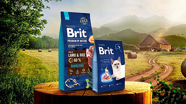 komercni ramecek 2025 nejroztomilejsi mazlicek brit