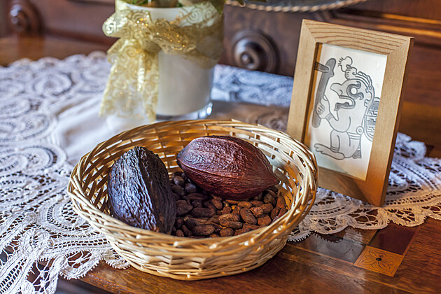 Čokoládové podzimní prázdniny na zámku Loučeň – pro děti zdarma