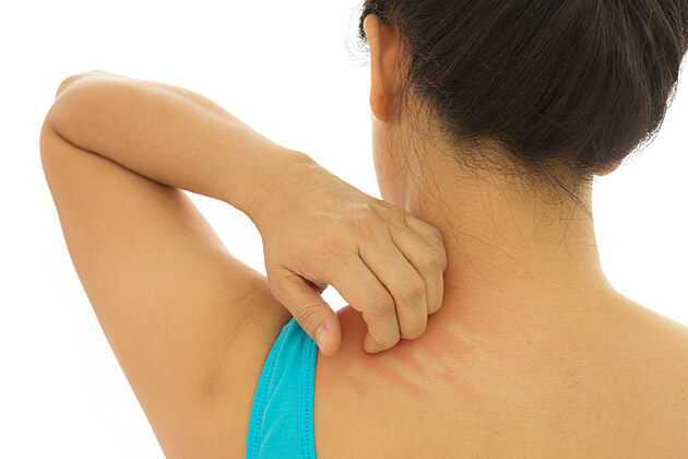 Čistší prádlo, zdravější kůže: kouzlo dvojího máchání.