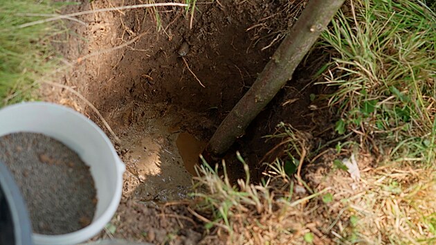 Receptář prima nápadů, Karel Maroušek, ovocnář
