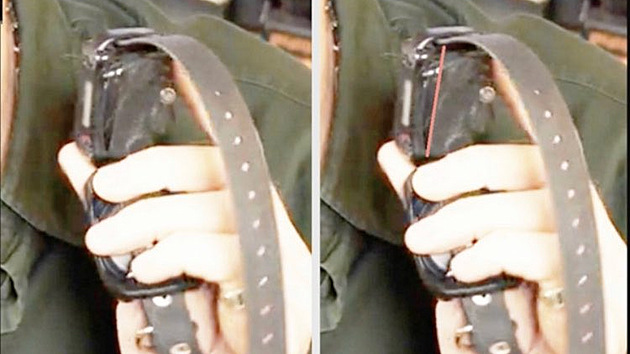 Lidé se okamžitě pustili do analyzování ukázaného obojku.