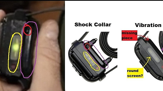 Lidé se okamžitě pustili do analyzování ukázaného obojku.