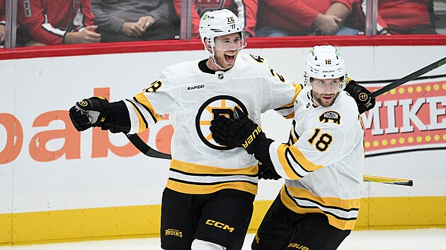Elias Lindholm (28) a Pavel Zacha (18) oslavují gól Boston Bruins.