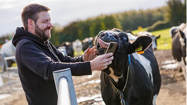 Monitorovací nákrčník Sensehub