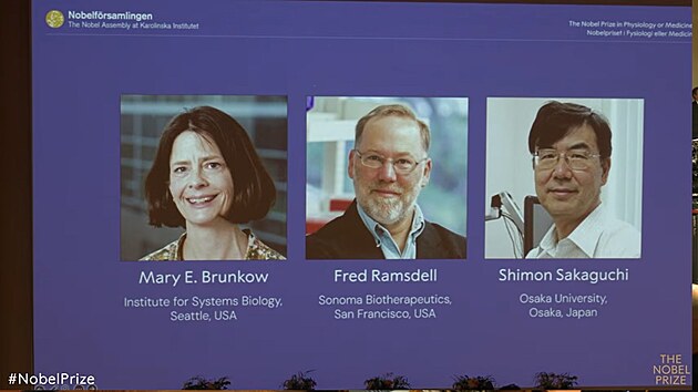 Nobelovou cenou za medicínu byl oceněn výzkum imunologie