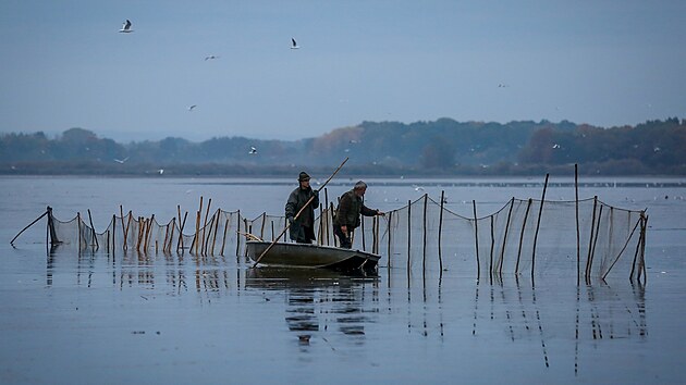 Rybáři loví rybník Rožmberk (17. října 2025)
