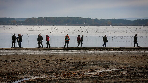 Rybáři loví rybník Rožmberk (17. října 2025)
