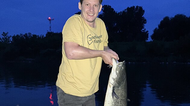 Sumec z řeky Moravy