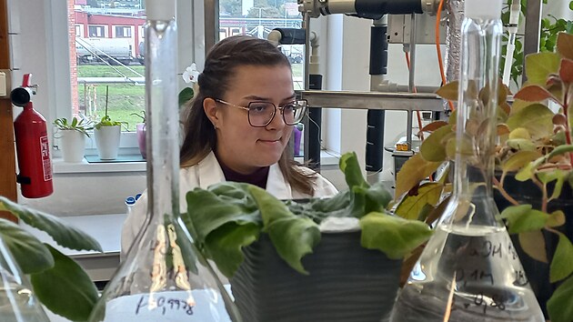 Markéta Předotová, která v rámci své diplomové práce na UJEP testovala technologii SPOLCHEMIE WaterTreat při čištění odpadní vody z ústecké nemocnice.