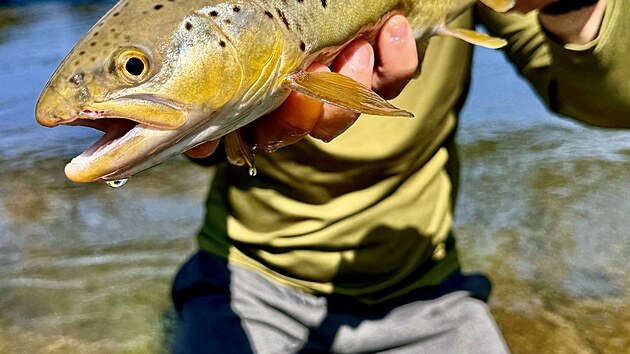 Dobrý záběr je vždycky vizitkou rybáře.