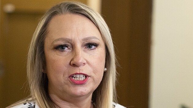 Jedn&aacute;n&iacute; poslaneck&yacute;ch klubů STAN, ANO a ODS. Na sn&iacute;mku Pavla Pivoňka Vaňkov&aacute;. (21. ř&iacute;jna 2025)