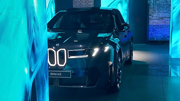 Ledvinky mohou být stejně jako linie na plochách navazujících na světlomety s diodovým podsvětlením.