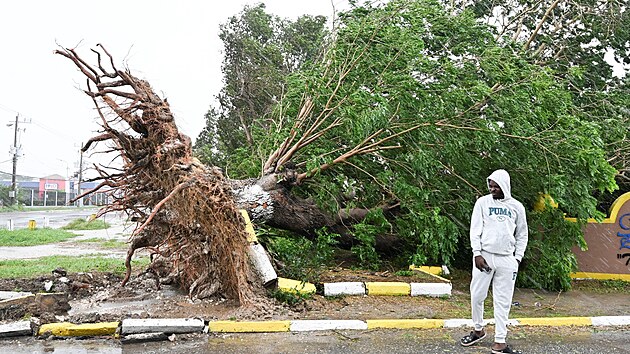 Hurikán Melissa na Jamajce vyvracel stromy a ničil domy. (28. října 2025)