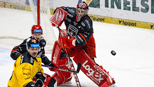 Brankář Stanislav Škorvánek z Hradce Králové odpaluje puk v utkání s Litvínovem.