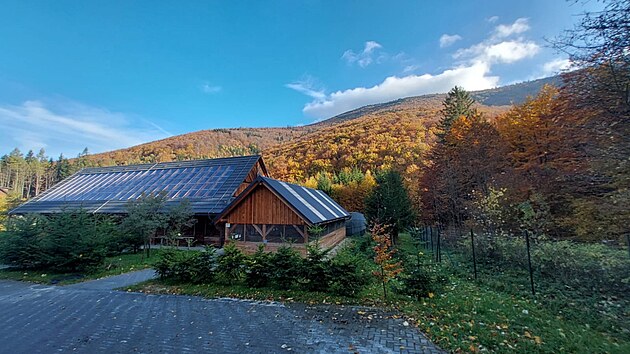 Celkem 52 tetřevů hlušců, 27 samců a 25 slepic, letos lesníci odchovali a v říjnu vypustili do Beskyd. (říjen 2025)