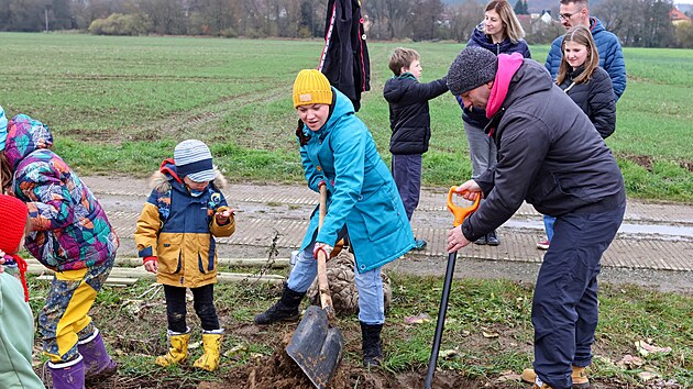 Členové souboru muzikálu divadla J. K. Tyla společně se současným šéfem Jozefem Hruškocim, iniciátorem myšlenky Lumírem Olšovským a fanklubem zasadili u cesty nedaleko Křimické pláže 23 ovocných stromů. Vytvořili tak Muzikálovou alej (8. listopadu 2025).