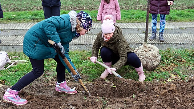 Členové souboru muzikálu divadla J. K. Tyla společně se současným šéfem Jozefem Hruškocim, iniciátorem myšlenky Lumírem Olšovským a fanklubem zasadili u cesty nedaleko Křimické pláže 23 ovocných stromů. Vytvořili tak Muzikálovou alej (8. listopadu 2025).