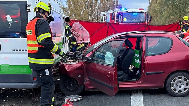 Vážná nehoda u Seče na Plzeňsku. Řidička čelně narazila do dodávky, vážně zranila svoji dceru. Nehodu vyšetřují kriminalisté jako pokus o vraždu. (20. října 2025)