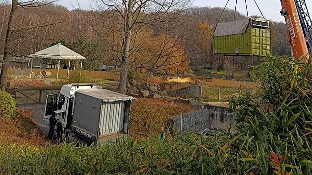 Z ostravské zoo odjel do Francie sloní puberťák. Mladý samec slona indického zamířil do svého nového domova ve francouzském Les Terres de Nataé nedaleko pobřeží Atlantiku se svými chovateli. Cesta zabere tři dny. (13. listopadu 2025)