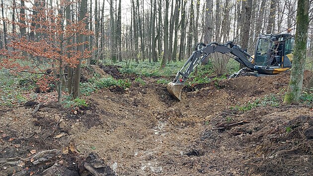 Patnáct tůní, které zadrží vodu na třech tisících metrech čtverečních, nechali vodohospodáři ze Správy toků pro povodí Odry z Lesů ČR vyhloubit ve třineckém lesoparku.(13. listopad 2025)