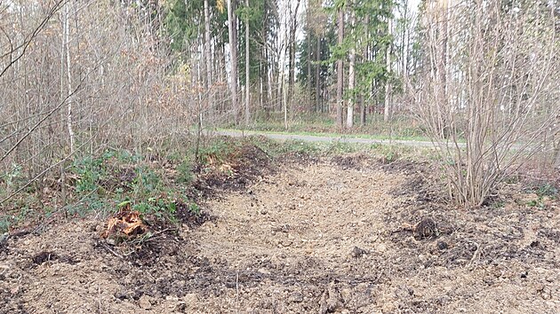 Patnáct tůní, které zadrží vodu na třech tisících metrech čtverečních, nechali vodohospodáři ze Správy toků pro povodí Odry z Lesů ČR vyhloubit ve třineckém lesoparku. (13. listopad 2025)