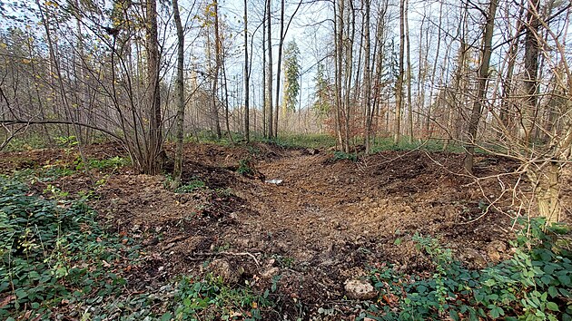 Patnáct tůní, které zadrží vodu na třech tisících metrech čtverečních, nechali vodohospodáři ze Správy toků pro povodí Odry z Lesů ČR vyhloubit ve třineckém lesoparku. (13. listopad 2025)