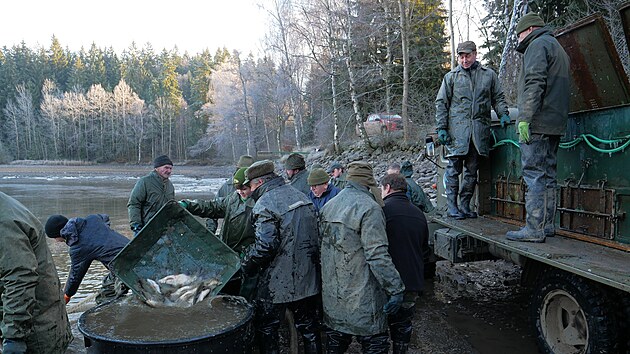 Ačkoliv jde o v&yacute;lov Velk&eacute;ho D&aacute;řka, ryby se lovily až z mnohem men&scaron;&iacute;ho rybn&iacute;ka Nov&yacute;, kter&yacute; je v soustavě hned pod D&aacute;řkem, pr&aacute;vě do něj se osazenstvo n&aacute;drže vždy &bdquo;přepou&scaron;t&iacute;&ldquo;. (19. 11.2025)